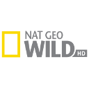 National Geographic Wild spored